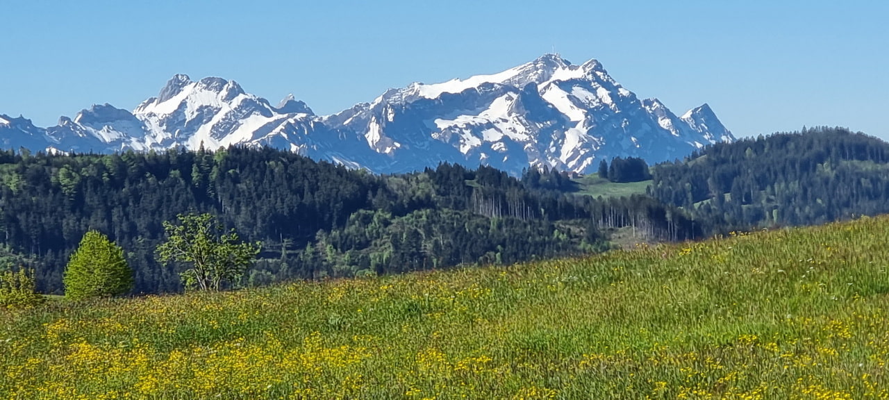 Säntis Dental GmbH, Wald AR, Kontakt